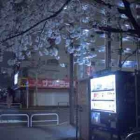 All( trừ gì thì trừ)