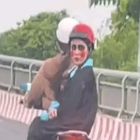 tg ko thik vt ngược