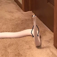 na ná nà na🫶