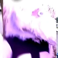 cô dê