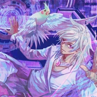 hiha hologram