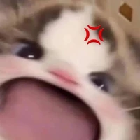 tg học cũng "OK"