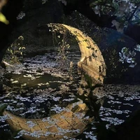 mysterious character