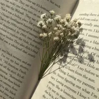 All-tùy trường hợp