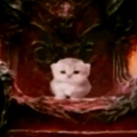 All/tất cả(trừ ai thì trừ)