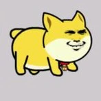hệ thống  chó shiba