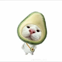 nhỏ t/g