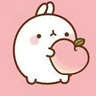 T/g(simp 1x4, 2time)