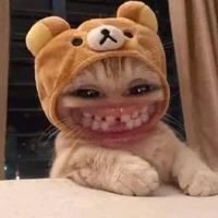 ktyy