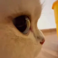 tg vui tính