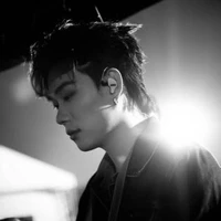 trần đăng dương domic