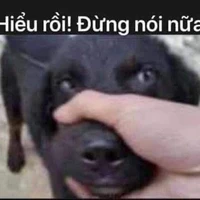 all (-ai thì trừ )