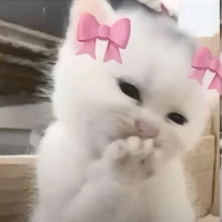 Tác giả