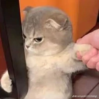 gọi tôi là Beng hoặc Bơ cũng được nha💓