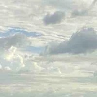 Cả lớp 11A1(những người có mặt)