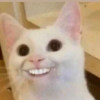 tác giả bị viêm màng túi