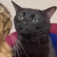 Hội đồng quản trị