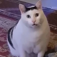 ???