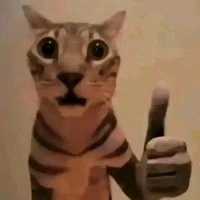 t/g