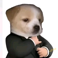 cân mọi nhân vật