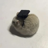 Mèo mún ăn Ká~~
