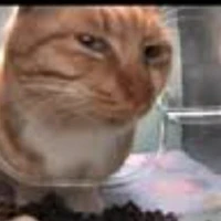 chị em mình cứ thế thôi hẹ hẹ hẹ