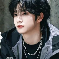 Lưu Diệu Văn
