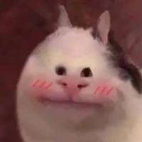 T/g