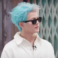 Nguyễn Quang Anh (lão gia)