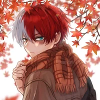 Todoroki Shoto