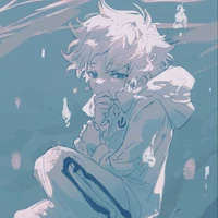 Todotoki Touya «Dabi»