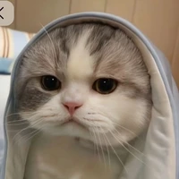 moe
