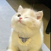 t/g