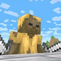 Husk
