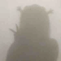T/g(Cá Cừu đâyy)