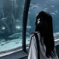 ࿙࿚࿙Tác giả࿚࿙࿚