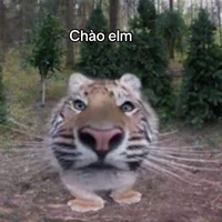 all (trừ ai thì trừ)