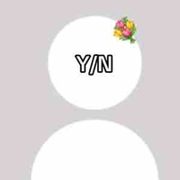 Y/N