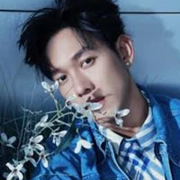 Nguyễn Trường Sinh-Song Luân