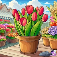 Tg hello mấy cưng