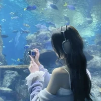 Author/Spiderman👽