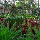 diêm Vương