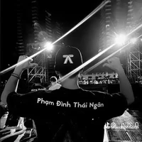 Phạm Đình Thái Ngân