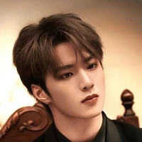 Lưu Diệu Văn 