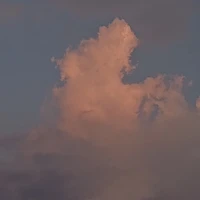 All