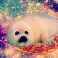 tác giả ở tương lai sau khi viết