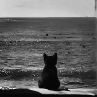 Shade_kẻ vô hình