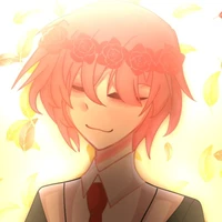 TT hiha