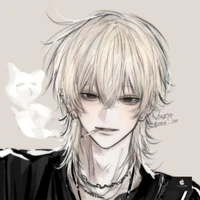 Aiden