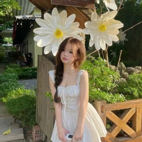 chu Thiệu Anh